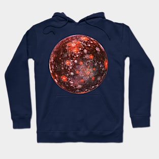 Planet of flowers Hoodie